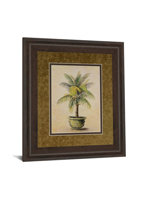 Potted Palm I - Framed Print Wall Art - Green