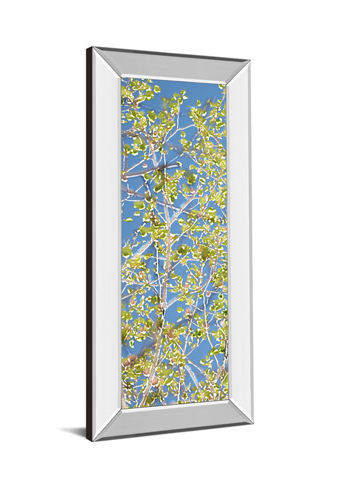 Spring Poplars I By Sharon Chandler - Mirror Framed Print Wall Art - Green