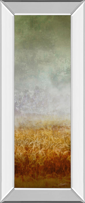 Lush Field I By John Butler - Mirror Framed Print Wall Art - Dark Gray