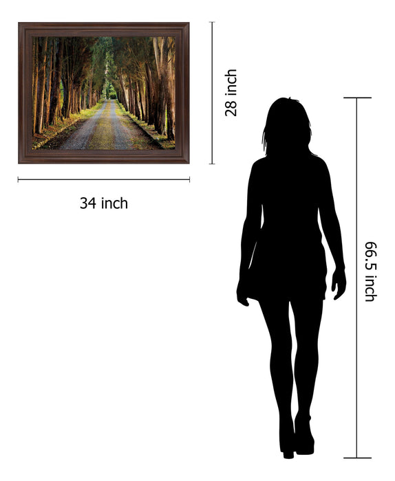 Woodland Passage - 28" x 34" Framed Wall Art