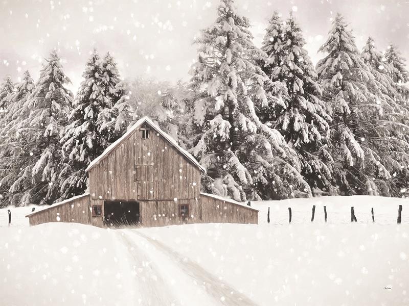 North Country By Lori Deiter (Small) - White