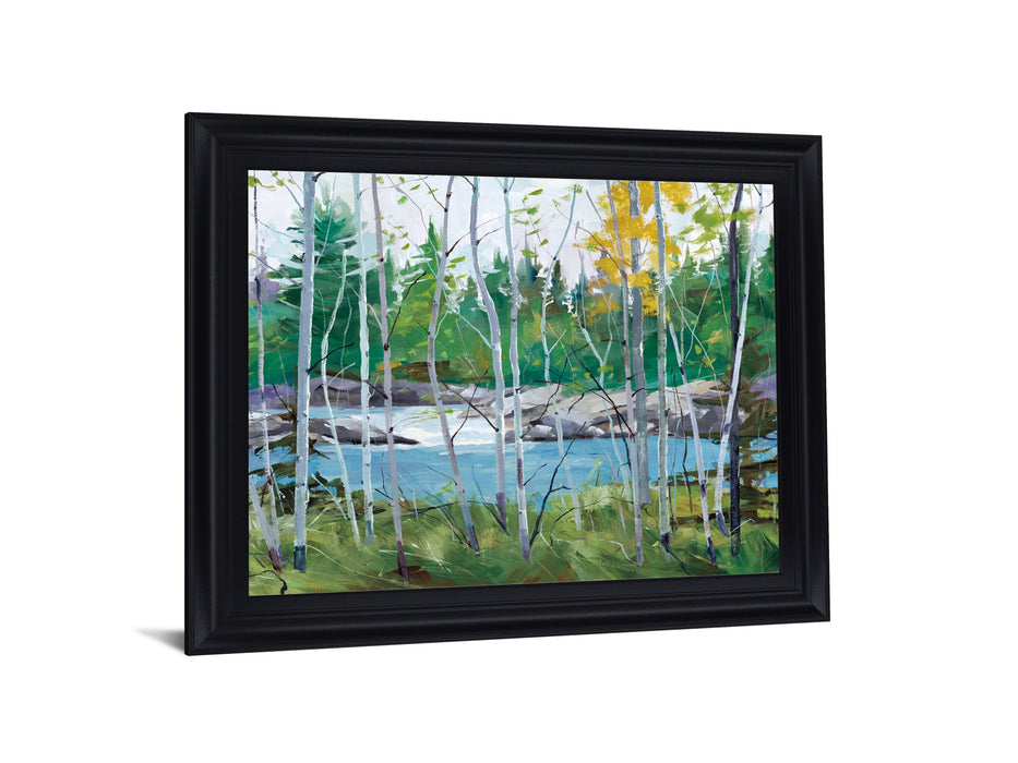 River Birch Vista - 28" x 34" Framed Wall Art