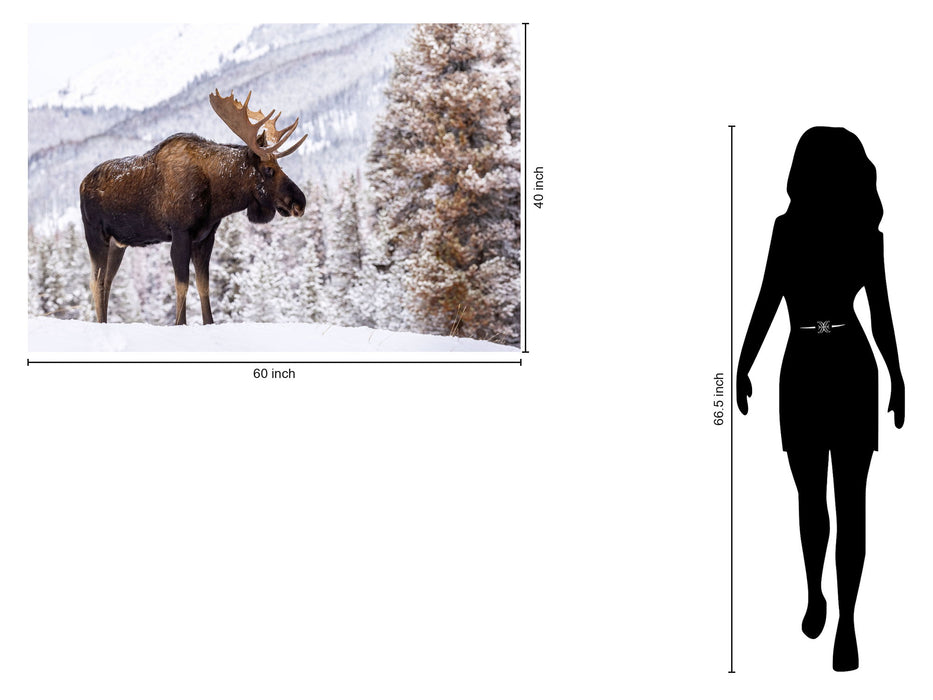 Tempered Glass - Moose In Snow - White