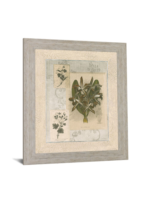Vintage Botanical - 28" x 34" Framed Wall Art