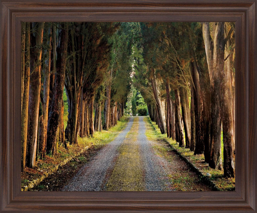 Woodland Passage - 28" x 34" Framed Wall Art