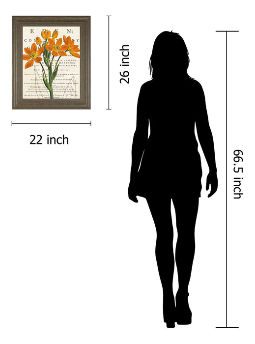 Eurphoria Botany By Sue Schlabach - Framed Print Wall Art - Orange