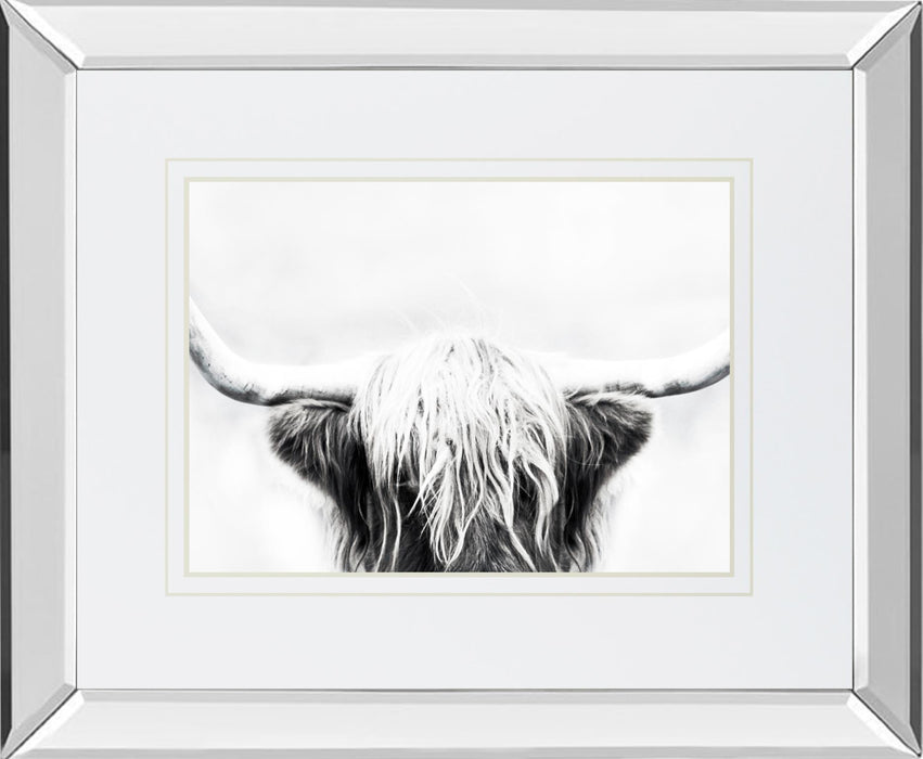 Longhorn By Danita Delimont - Dark Gray - Glass