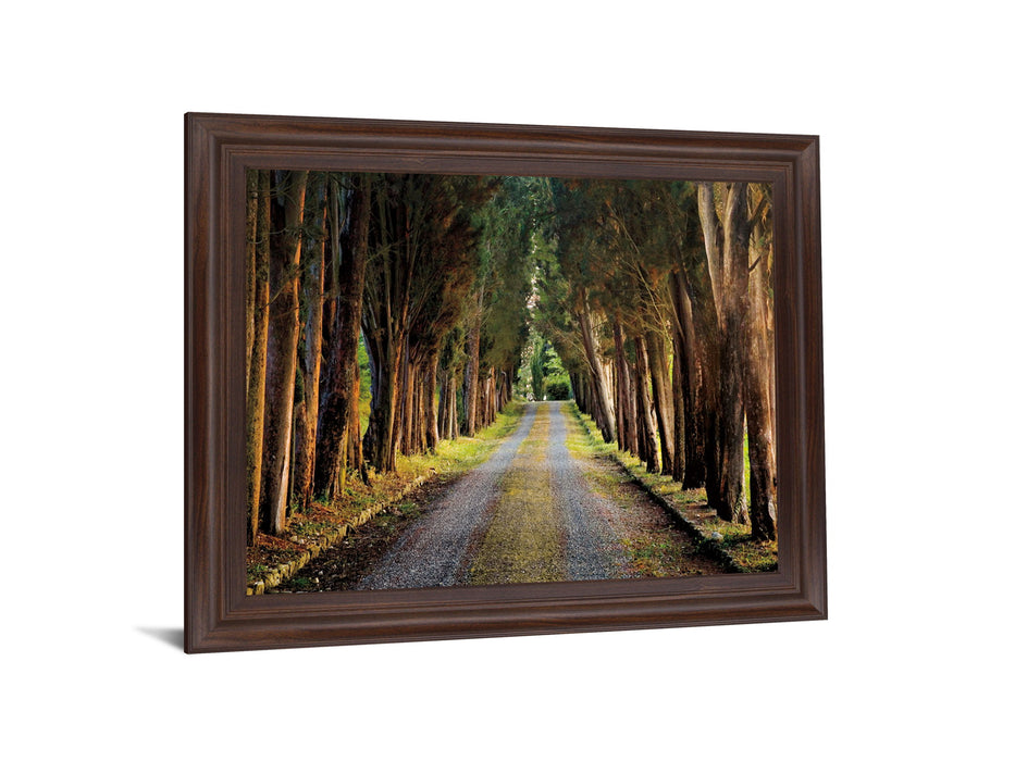 Woodland Passage - 28" x 34" Framed Wall Art