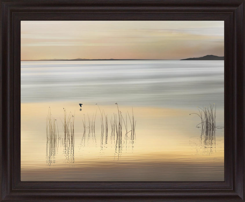 Serene Reeds - 28" x 34" Framed Wall Art