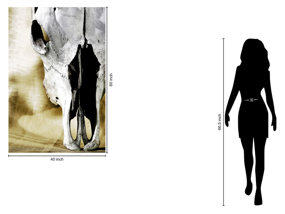 Tempered Glass With Foil - Cattle Skull - White