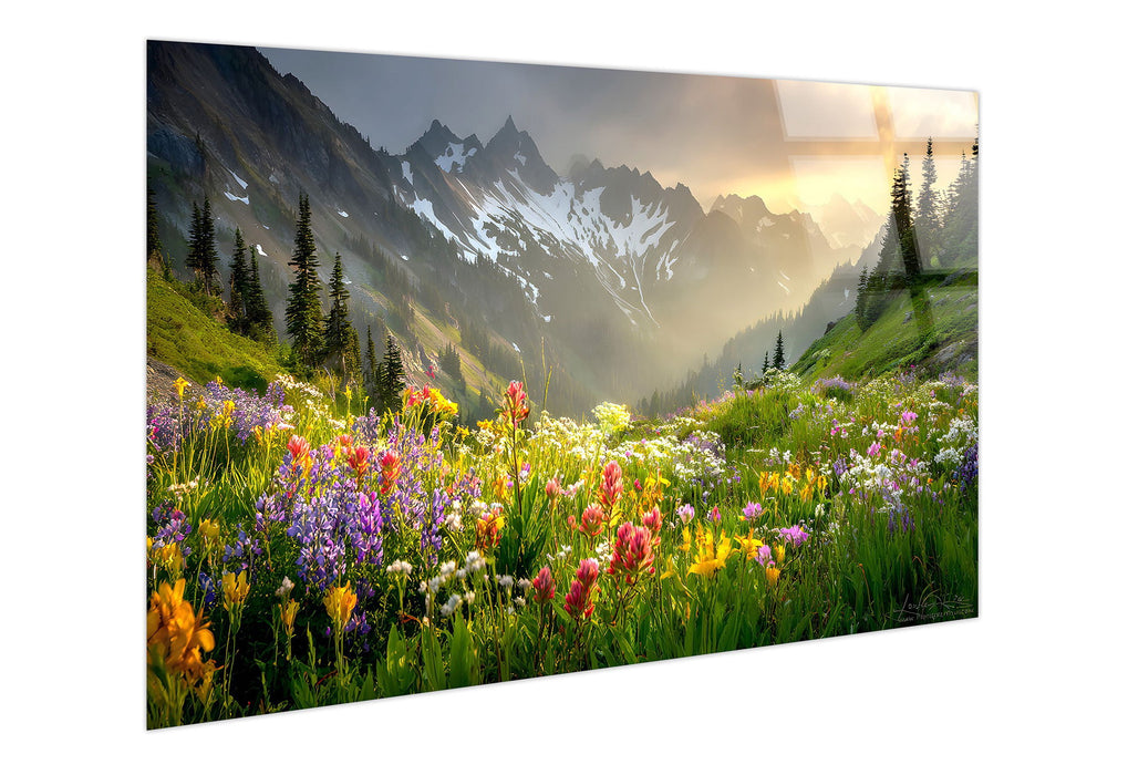 Alpine Wildflower Misty Tempered Glass - Green / Gold