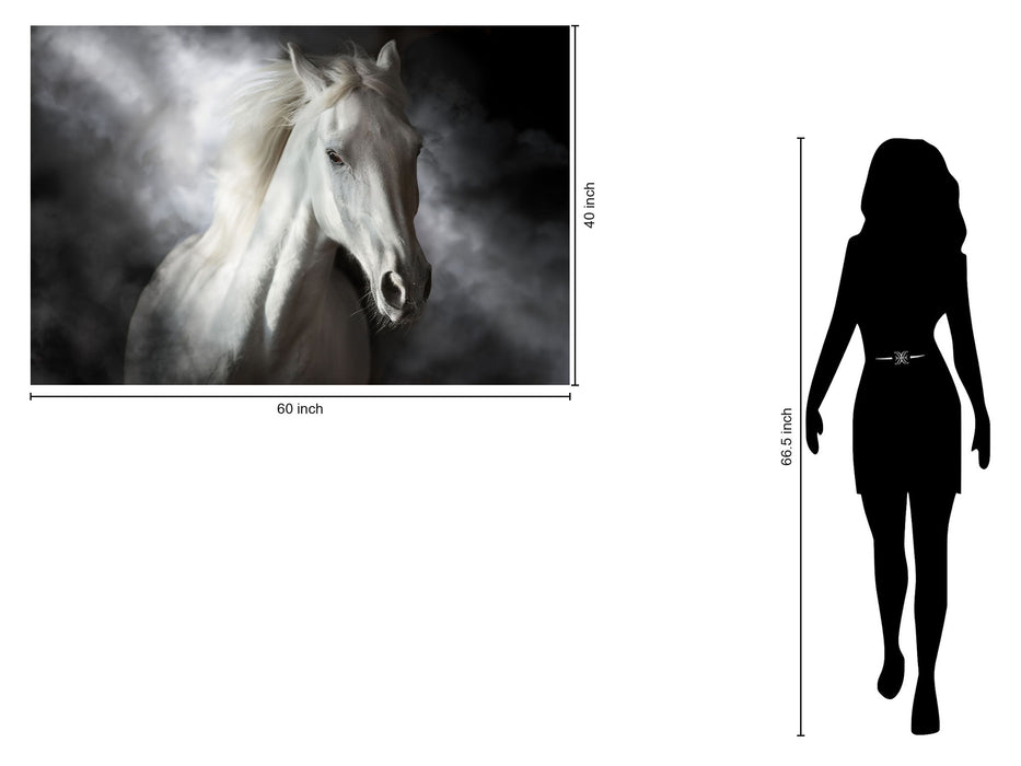 Tempered Glass With Foil - Mystical White Horse - Dark Gray