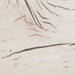 B2310/12/50(2)/84/87 : B2310B42