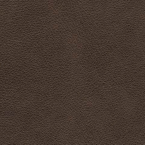 Crossplex PWR Recliner/ADJ Headrest